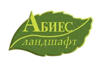 Пион древовидный Две Сестры